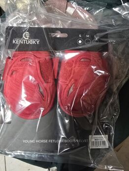 Kentucky Horsewear Rot Streichkappen Neu pony S Kentucky Horsewear  Streichkappen Velvet