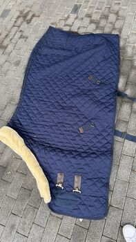 Kentucky Show Rug 145 Kentucky