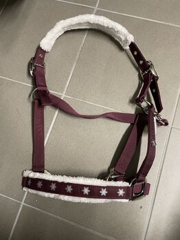 Christmas Collection Halfter, Showmaster, AF, Halters