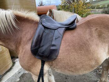 Kieffer Dressursattel, Kieffer, Wencke, Dressage Saddle, Gau-Weinheim