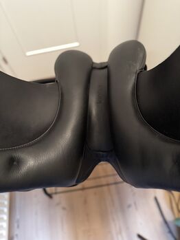 Kieffer Lusitano neuwerig Kieffer  Lusitano Evo Exclusiv AT Lusitano Evo