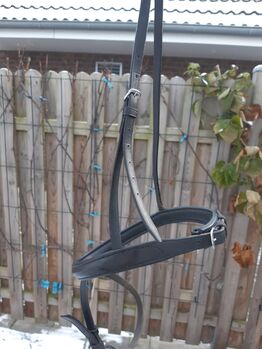 Kieffer Reithalfter mit Sperriemen, englisch, Gr. VB-WB, gebraucht, KIEFFER, Elena Prisich (Elena Prisich - Konisportgermani), Nosebands, Quickborn
