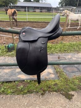 Kieffer Wellington Dressursattel, Kieffer Wellington, Kristina Brackmann, Dressage Saddle, Hamminkeln 