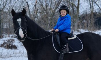 Kinderpony Pitypang🥰🥰, Sári, Pferd kaufen, Csabacsűd 