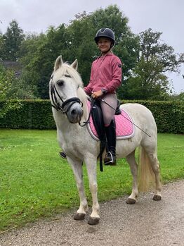 Kinderpony, Heigl Nadja, Pferd kaufen, Blindenmarkt