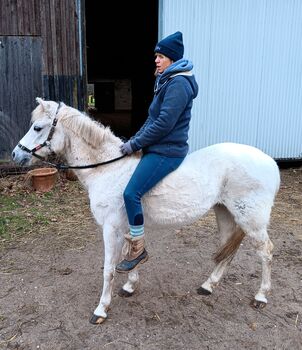 Kinderpony Stute ca. 1,20, St. Gärtner, Pferd kaufen, Alpen