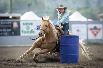 King-Crush. Solid 15 Sec Runner with Try and Turn, Lionel Tod, Horses For Sale, Austin