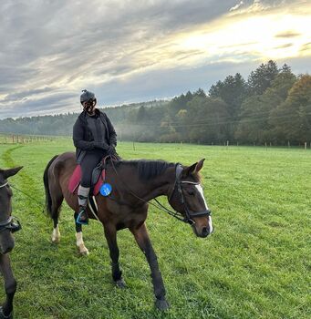 Warmblutstute mit Herz, Selina Leutschacher, Konie na sprzedaż, Weinitzen