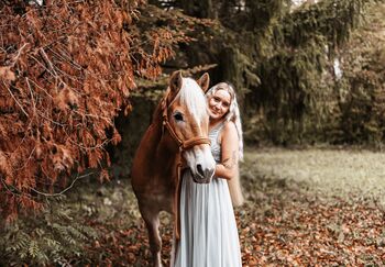 Haflinger Stute