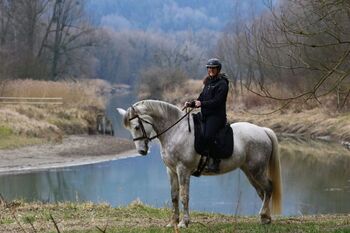 Warmblut Stute, Gabriele Antholzer , Konie na sprzedaż, Höchst