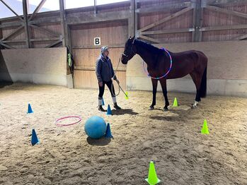 Stute mit Herz aus Gold