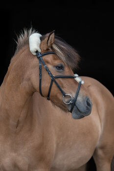 mexikanische Trense Auckland von Schockemöhle Sports Cob, Schockemöhle Sports  Trense Auckland , Nina, Ogłowia, Nordermeldorf