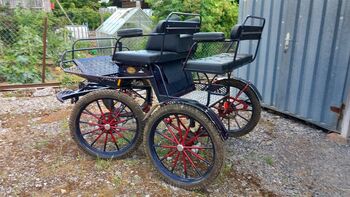 Klaus Ruhl, Kutsche ein- und zwei spännig zu fahren, Paul Ruhl, Ma, Carriages, Mosbach