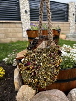 Knabberholz/Knabbertaler für Pferde aus Birke Nedwood Creations