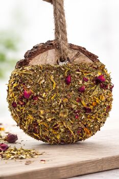 Knabberholz/Knabbertaler für Pferde aus Birke, Nedwood Creations, Nedwood Creations, Pferdefutter, Hamm