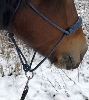 Knotenhalfter blau, WB