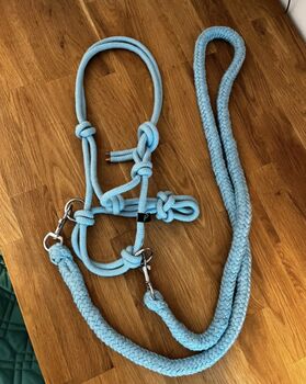 Knotenhalfter Reiten Pony, QHP, Lucy Oestern , Bodenarbeit, Niefernheim-Zellertal
