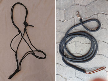 Knotenhalfter und Western-Rope, N.E., Bodenarbeit, Gütersloh