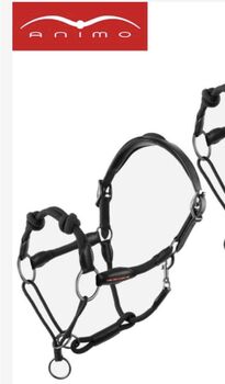 Knotenhalfter Leder Animo neu, Animo, Jäckle, Halters, Rielasingen-Worblingen