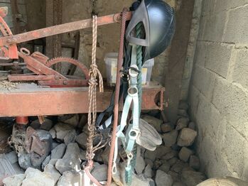 Knotenhalfter mit Strick, Halfter gepolstert mit Strick, Ulrike Meilgen, Halters, Saarbrücken