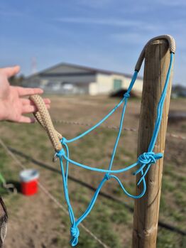 Knotenhalfter, Knoti WB mit Ringen inkl. Zügel, MR, Groundwork, Frankfurt 