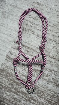 Knotenhalfter, Drea, Halters, Geilenkirchen