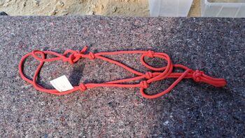 Knotenhalfter, Melissa, Halters, Thedinghausen 