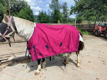 Pfiff Pferdedecke 125cm, Pfiff, Mirjam, Derki dla konia, Baden-Dättwil AG