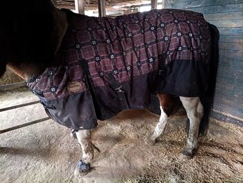 Paddock Outdoor Decke 300g, Horse Friends  Paddock decke , Michelle , Derki dla konia, Heide 