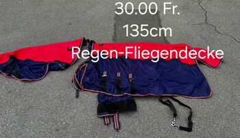 Regen-Fliegen Decke