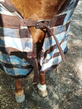 Transportdecke Horse friends