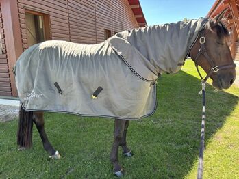 Abschwitzdecke Equine-Microtec mit Halsteil, silber, 145 cm, Equine Microtec, Petra , Derki dla konia, München