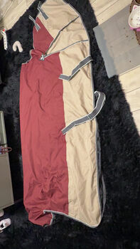 Outdoordecke 155 100g, Celine , Derki dla konia, Ibbenbüren 