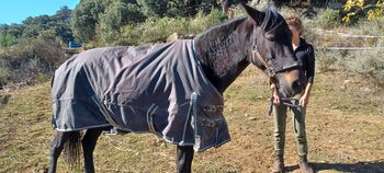 Equithème Winter-Decke Equithème "Equithème, Tyrex 1200