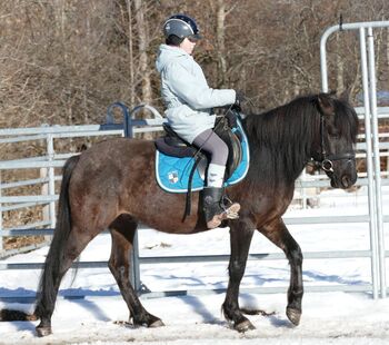 Ein Kumpel mit Gelassenheit