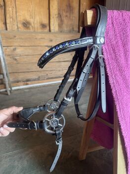 Glücksrad Pony + Kopfstück
