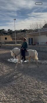 CABALLO ALBINO