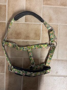 Kappzaum Pony, Felix Bühler, Lucy-May Schmid , Kantary, Eigeltingen