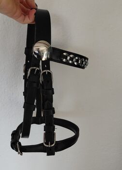 Fahrzaum Pony, Sophie Marie Studer, Pozostałe, St.Erhard