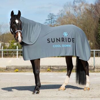 Kühldecke mit Halsteil und Tuch - Sunride Cool Down - Farbe Grau Sun Ride Cool Down