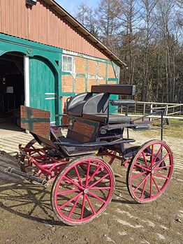 Kühnle Kutsche Pony Dressurwagen, Kühnle  Spider Dressurwagen Kutsche , Julia , Carriages, Gnarrenburg
