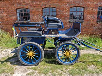 KUFA Trainingswagen warmblut einspänner kutsche, kufa, Karoline, Carriages, flensburg 