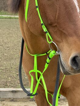 Kunststoff Zaumzeug NEONGRÜN glänzend mit Martingal