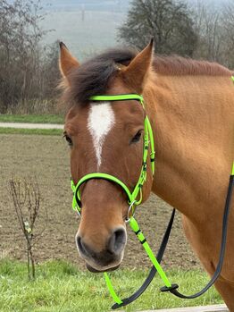 Kunststoff Zaumzeug NEONGRÜN glänzend