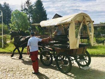 Kutsche / Planwagen