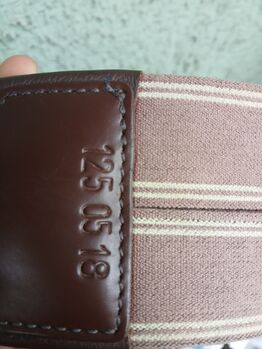 Langgurt (für Spring oder Vielseitigkeitssattel) Prestige