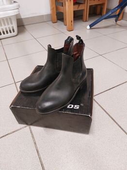 Reitstiefelletten Steeds Stiefelette Harrier