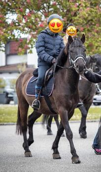 Hübscher Ponywallach fürs Gelände, Susanne Kloimwieder, Konie na sprzedaż, St.Georgen am Ybbsfelde