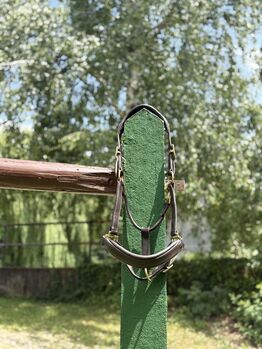 Lederhalfter braun in COB/ Vollblut, Lara , Halters, Zolling