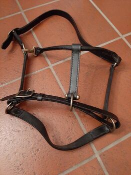 Lederhalfter für Warmblutpferde, Sophie, Halters, Hamburg Groß Borstel